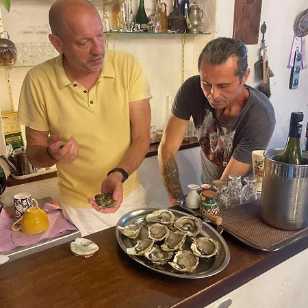 Chez Les Artistes Pensjonat Servian